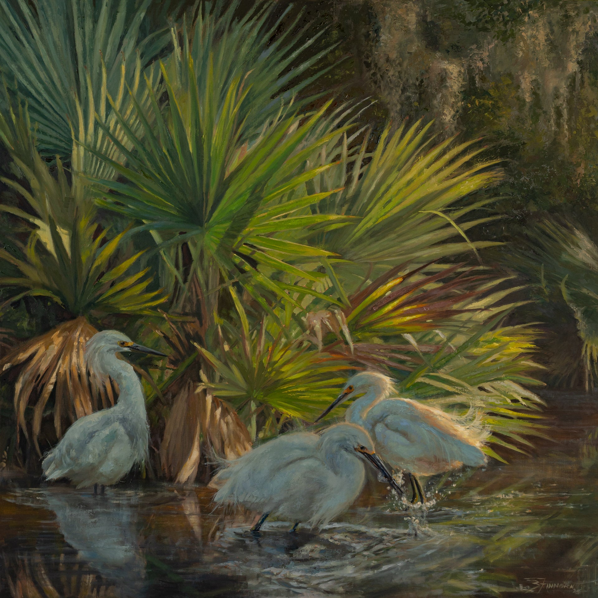 Three white birds in a natural setting with palm leaves and water.