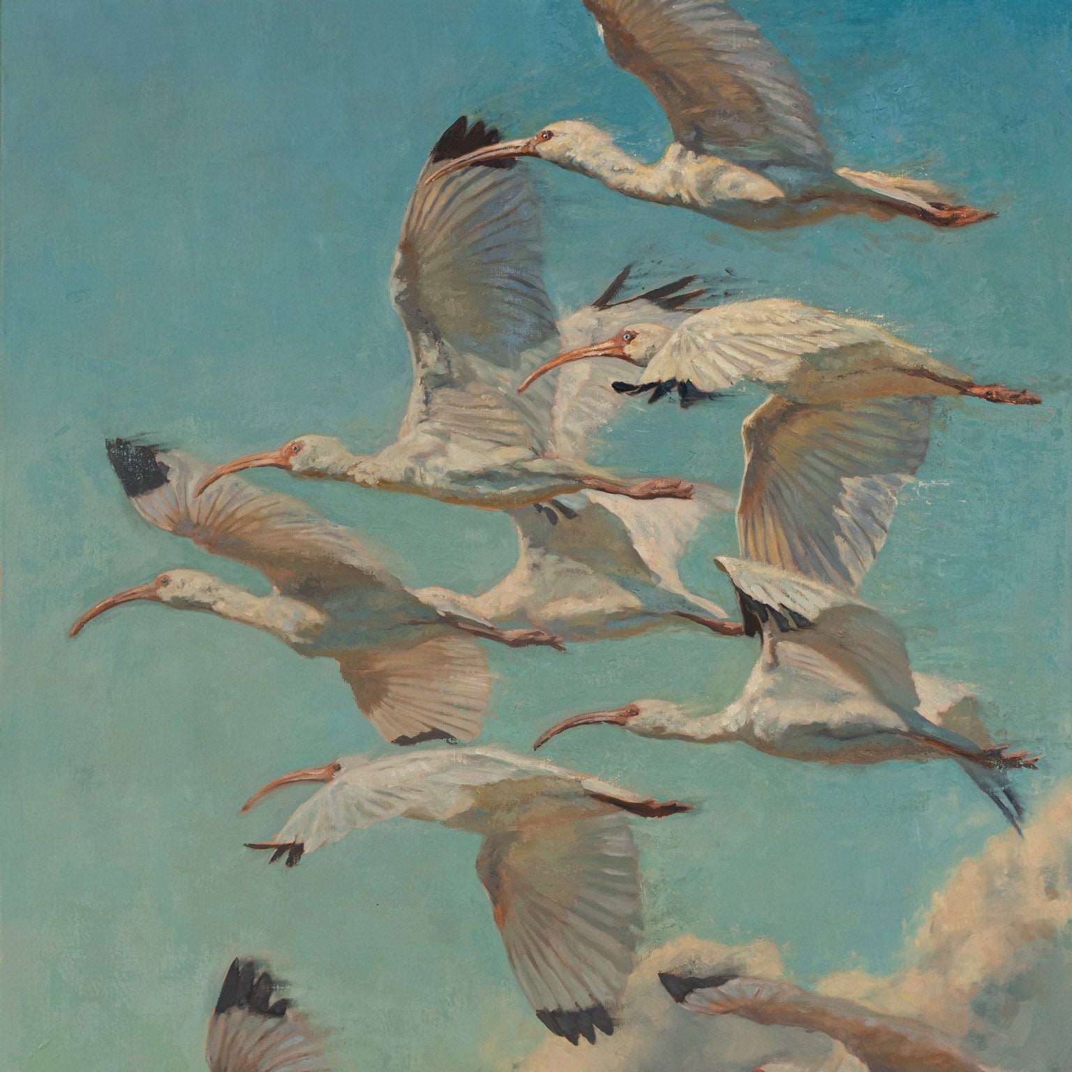 Painting of white ibises flying against a blue sky