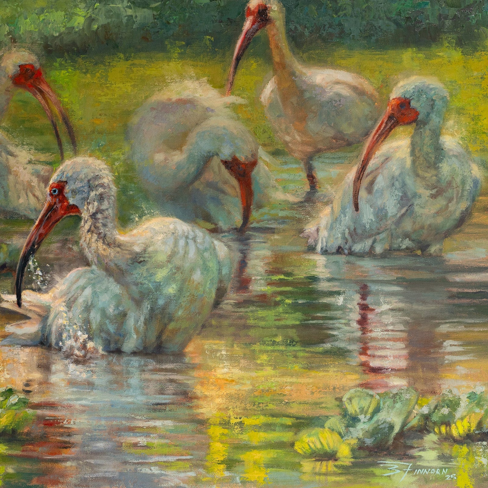 Painting of white ibises wading in water with greenery in the background